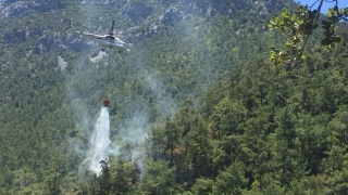 Muğla’da çıkan orman yangınında 3 dekarlık alan zarar gördü