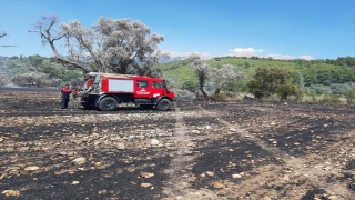 Muğla’da çıkan arazi, anız ve konteyner yangınları söndürüldü