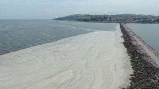 Balıkesir’de müsilaj temizleme seferberliği başladı