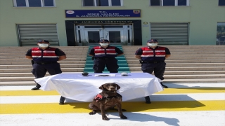 Kaçak kazıda bulduğunu söylediği buğdayları İzmir’de satmaya çalışan şüpheli yakalandı