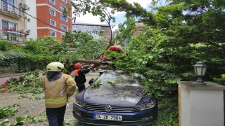 Ataşehir’de otomobilin üzerine ağaç devrildi