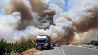 Elazığ’da 100 dönüm buğday ve arpa ekili alan yandı