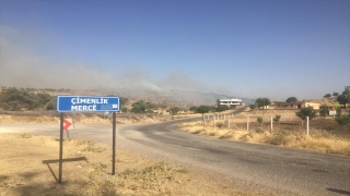 Mardin’de orman yangını çıktı