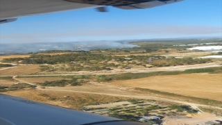 Alanya’da çıkan yangında 10 dönüm orman alanı zarar gördü