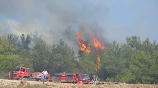 Manisa’da iki ilçede çıkan orman yangınlarına müdahale ediliyor