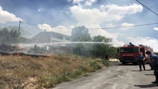 Bayburt’ta çıkan örtü yangınında meyve ağaçları zarar gördü