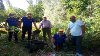 Amasya’da kuyuya düşen köpeği AFAD ekipleri kurtardı