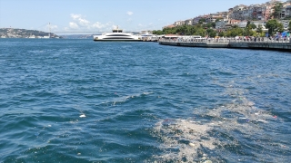 Üsküdar’da kıyıya vuran çöplerin oluşturduğu kirlilik çevredekileri rahatsız etti