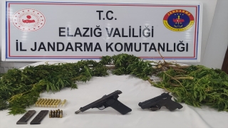 Elazığ’da evinin bahçesinde Hint keneviri yetiştirdiği iddia edilen şüpheli yakalandı