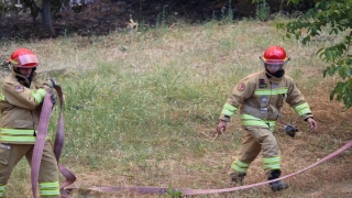Jandarma Genel Komutanlığı, 4 ildeki orman yangınlarına 2 bin 310 personelle müdahale edildiğini bildirdi