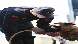 Bozkurt’ta selde kaybolan vatandaşları arama çalışmaları sürüyor