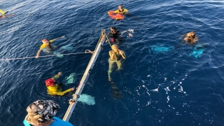 Serbest Dalış Türkiye Şampiyonası Antalya’da devam ediyor