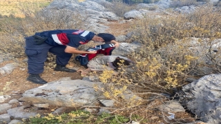 Mersin’de 2 gündür aranan kadın kırsalda bitkin halde bulundu