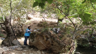 Şırnak’ta Dicle Elektrik gönüllüleri piknik alanını temizledi 