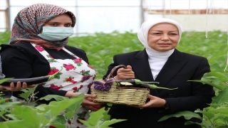 TBMM Kadına Yönelik Şiddetin Araştırılması Komisyonu Gaziantep’te ziyaretlerde bulundu