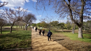 Florya Atatürk Ormanı yenilendi