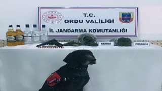 Ordu’da uyuşturucu operasyonunda 2 şüpheli yakalandı