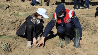 Denizli ve Uşak’ta Milli Ağaçlandırma Günü’nde fidanlar toprakla buluştu