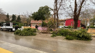 Sinop’ta şiddetli rüzgar çatıları uçurdu