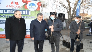 Ankara’da 320 çiftçiye vişne fidanı dağıtıldı