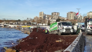 Caddebostan Sahili’ni kaplayan kırmızı yosunlar toplanıyor