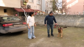 Zonguldak’ta çalınan köpeklerini bulan çift, büyük sevinç yaşadı