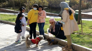 İran’da hayvanseverler evde kedi ve köpek bakımını yasaklayan yasa tasarısına tepkili