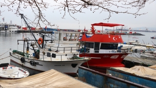 Tekirdağlı balıkçılar havanın normale dönmesiyle yeniden denize açıldı