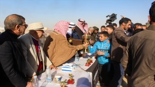 Mısır’daki ”Arap kabileleri at yarışında” kupayı 12 yaşındaki jokey kaldırdı