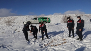 Yozgat’ta jandarma ekipleri yaban hayvanları için doğaya yem bıraktı