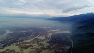 Efteni Gölü Kuş Cenneti’ndeki sis, drone ile görüntülendi