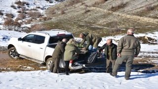 Şırnak’ta yaban hayvanları için doğaya yem bırakıldı