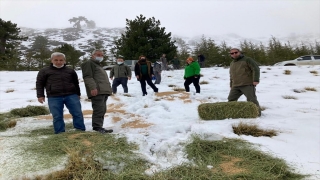 Burdur’da yaban hayvanları için karla kaplı dağlara yem bırakıldı