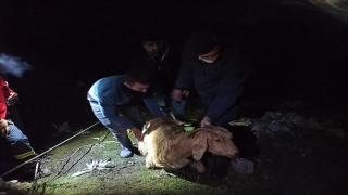 İzmir’de kayalıklarda mahsur kalan keçi kurtarıldı