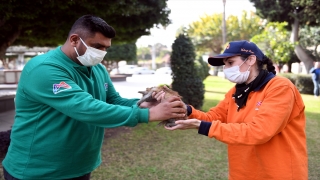 Mersin’de yaralı bulunan kedi yavrusu tedaviye alındı