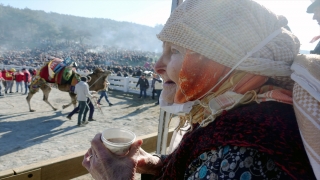 ”40. Selçuk Efes Deve Güreşi Festivali”, 162 devenin katılımıyla yapıldı