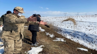 Gaziantep, Şanlıurfa ve Adıyaman’da hayvanlar için doğaya yem bırakıldı