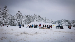 1. Kastamonu Araç Yayla Kış Festivali sona erdi