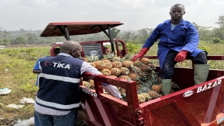 TİKA’dan Kamerun’da tarımsal üretime destek