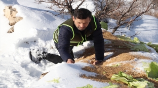 Siirt’te yaban hayvanları için doğaya yem bırakıldı