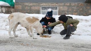 Kars’ta sokakları dolaşan çocuklar ”can dostlar”ı besledi