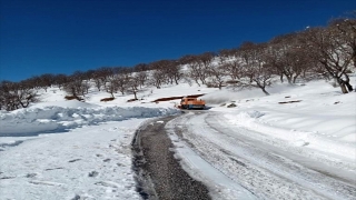 Bitlis’te ekiplerin karla mücadele çalışmaları aralıksız devam ediyor