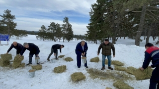 Çorum’da yaban hayvanları için doğaya 500 kilogram yem bırakıldı