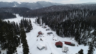 Aradığı huzuru yayla yaşamında buldu