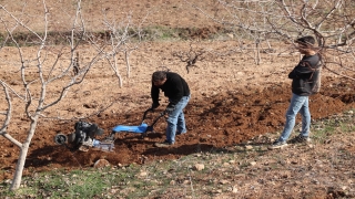 Siirt’te 443 aile kentten kırsala göç ederek tarımsal üretime başladı