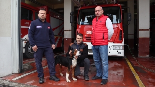 Düzce’de dere yatağında mahsur kalan köpek itfaiye ekiplerince kurtarıldı