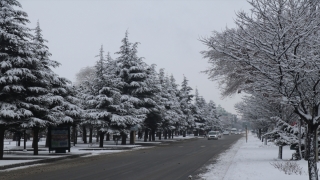 Erzurum, Ardahan, Erzincan, Kars ve Tunceli’de aralıklarla kar etkili oluyor