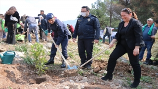 Adana’da orman yangınında zarar gören alana 2 bin 22 fidan dikildi 