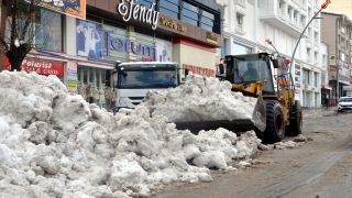 Van, Hakkari, Bitlis ve Muş’ta 176 yerleşim yerinin yolu kapandı