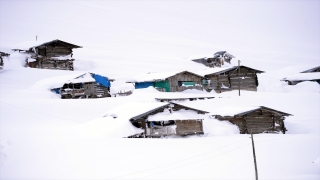 Ardahan’da yayla evleri kar altında kaldı